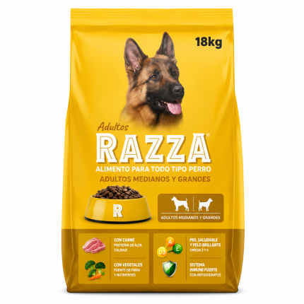 Razza perro adulto razas medianas a grandes