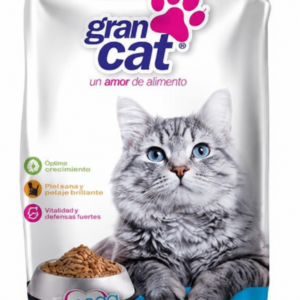 GRAN CAT