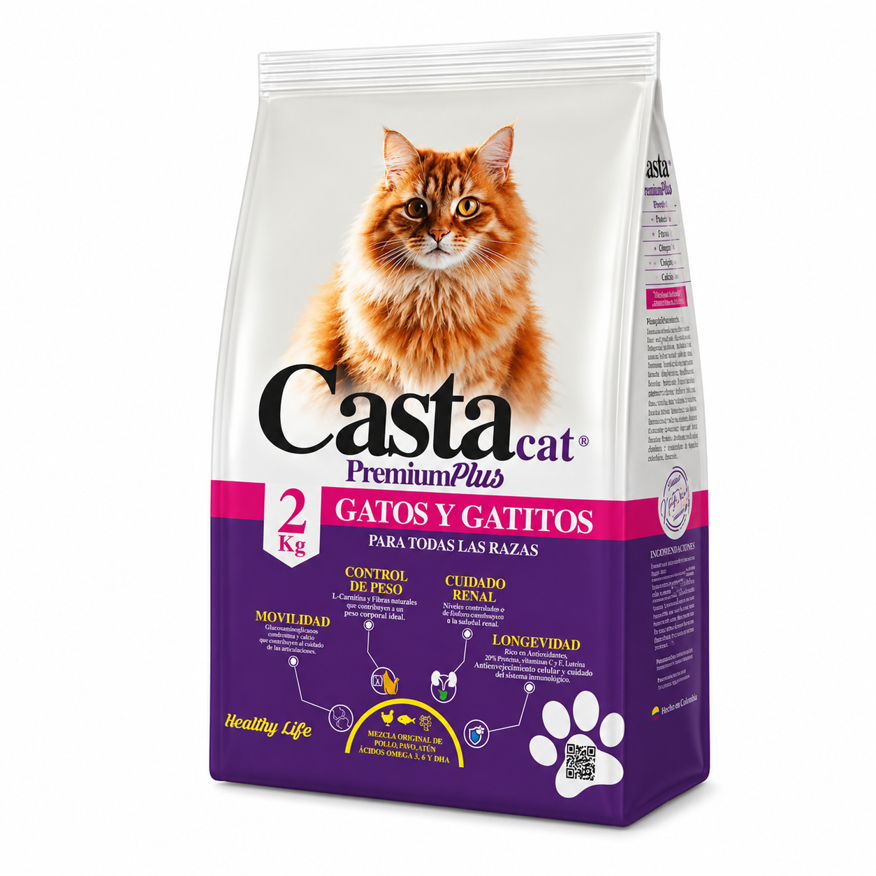 Casta cat