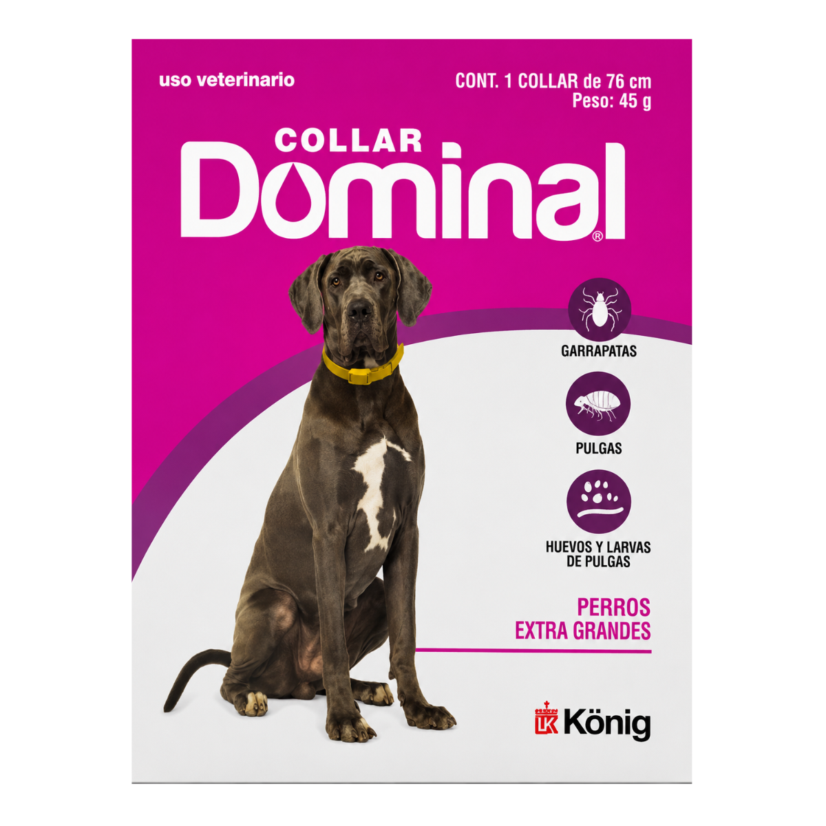 Diseño sin título (58)