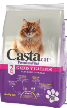 CASTA CAT GATOS Y GATITOS